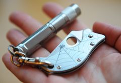 Спин с Фениксом (1).JPG