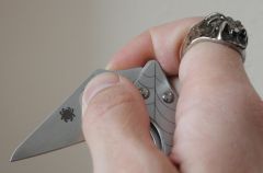 Спин в руке (2).JPG