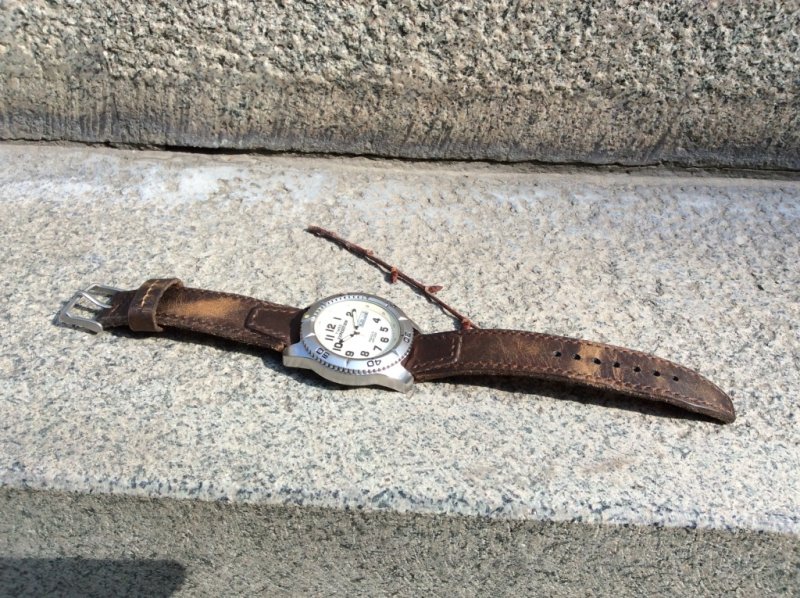 Timex watch strap_1.JPG