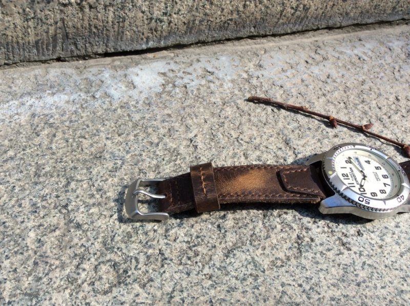 Timex watch strap_2.JPG