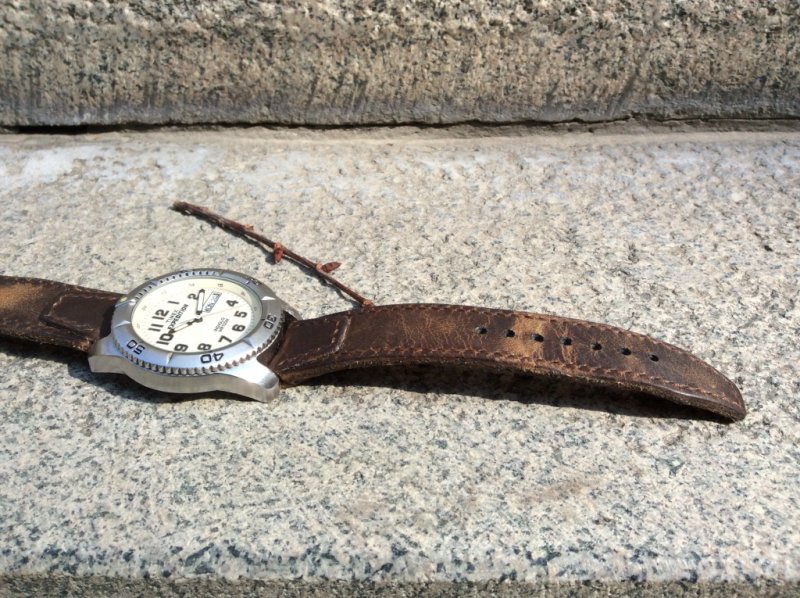 Timex watch strap_3.JPG