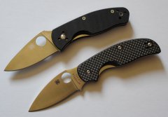 Персистенс, Сажа, Кроссбил.JPG