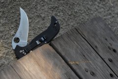 Чинук у бабушки во дворе (4).JPG