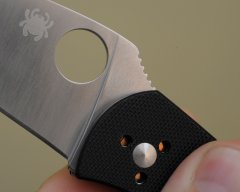 Персистенс, Сажа, Кроссбил (3).JPG