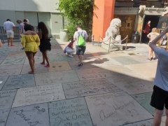 20190812_155740.jpg