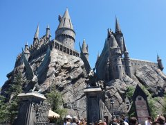 20190813_132954.jpg